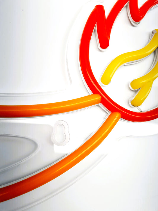 Pokemon Fire Tail Neon Light