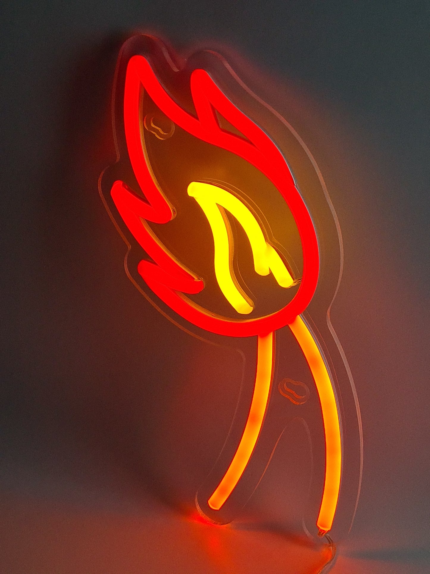 Pokemon Fire Tail Neon Light