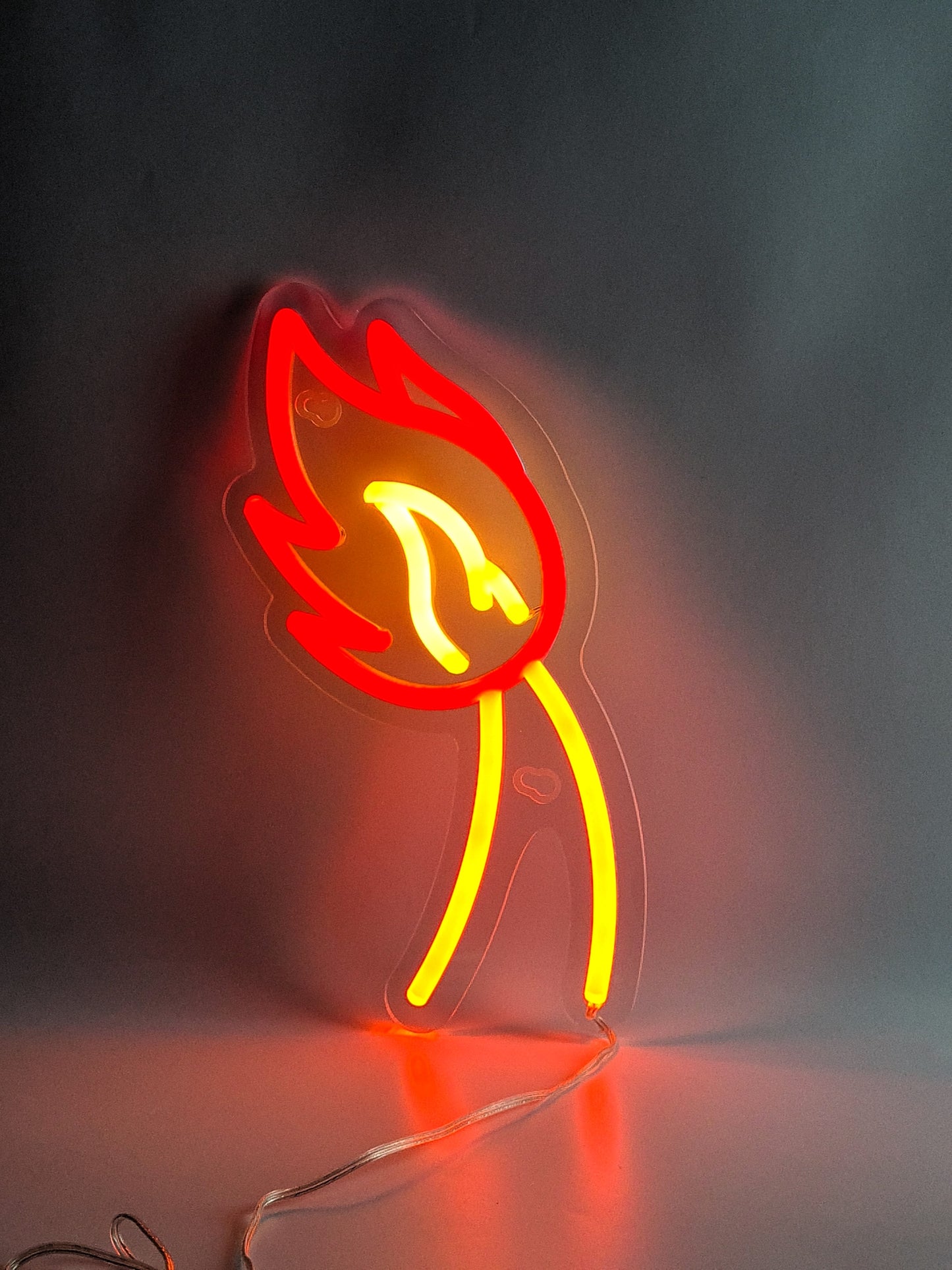 Pokemon Fire Tail Neon Light