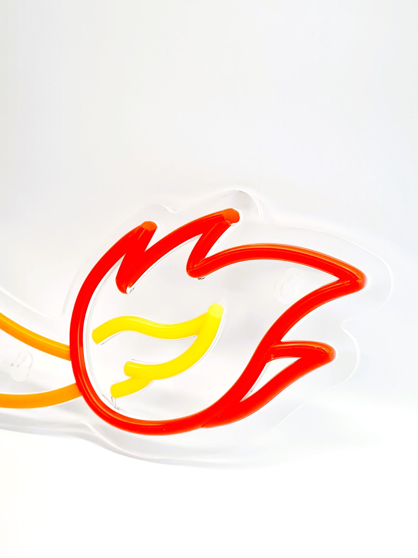 Pokemon Fire Tail Neon Light